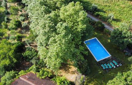 Quinta da Lapa do Gato - Foto 21