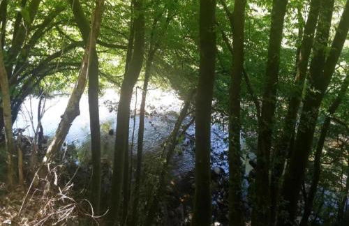 Quaint Bungalow Near Insel Poel With Garden - Foto 104