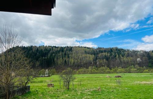 Domek RajskiRaj - Foto 18