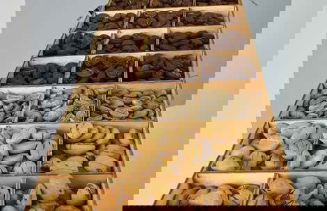 Atelier et dégustation de café colombien à La Candelaria - Photo 9