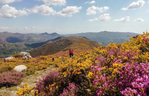 Casa Belavista no Geres by In'Canto Property Management - Foto 54