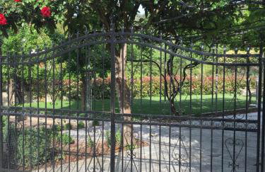 Giorgios Studio - Foto 37