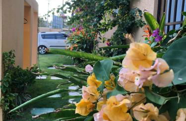 Apartamentos Condominio a Beira Mar - Foto 77