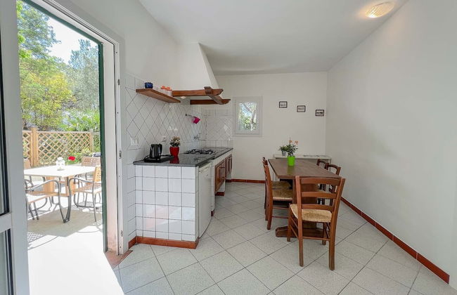 Azienda Agricola Sapereta - Foto 10