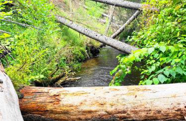 VILLA SUNSHINE "SILVER SUITE" nad JEZIOREM WIELE PRZESTRZENI ZA NISKĄ CENĘ - Foto 18