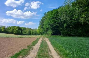 La Maison Des Caps AU BLANCNEZ - Foto 45