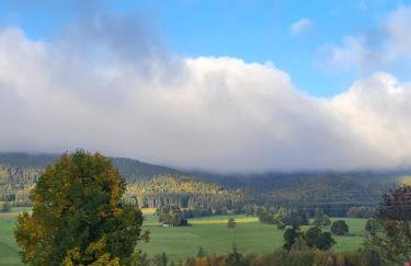 Komfortowy dom z bali koło Zieleńca z widokiem na góry - Foto 13