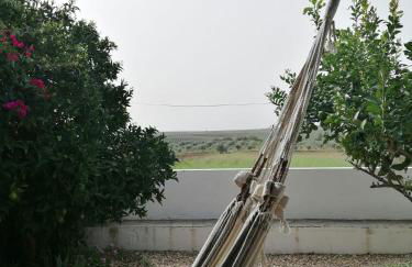 Casa da Tia Luísa - Foto 34