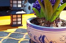 Accessible Luxury - Foto 36