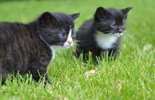 Ferienwohnung Familie Starck - Foto 13