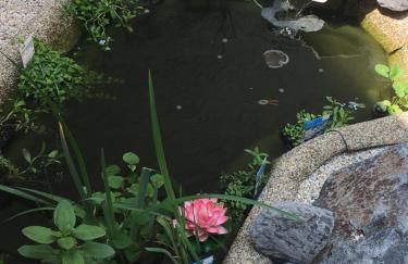 Ferienwohnung Ankerplatz - Foto 31