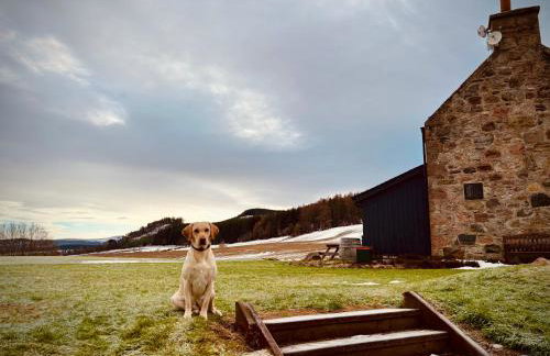 Cosy cottage in idyllic Speyside setting - Foto 39