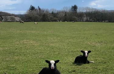 Caithness View Luxury Farm Lodges and BBQ Huts - Photo 31