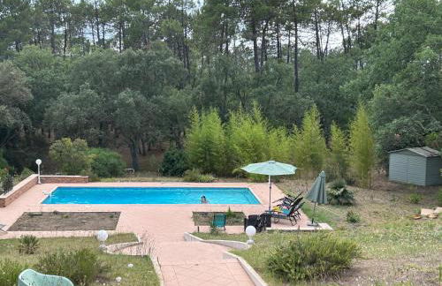 Villa proche Golfe de St Tropez - Foto 54