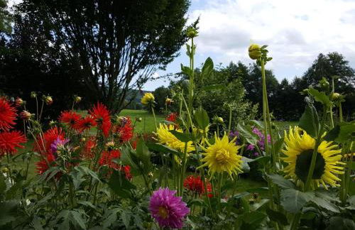 Ferienhaus Mahlertsmühle - Photo 15