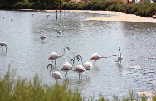 Casa Veintiuno en Calp - Photo 30