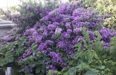 Blue Harbour No. 15 - Foto 36