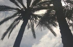 Apartments Frenkie - Photo 50