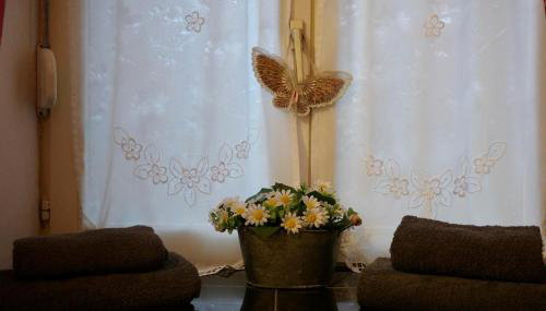 "Coeur d'elsass St Eloi centre ville avec parking - Foto 4