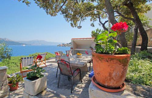 Apartments Mirna - Foto 1