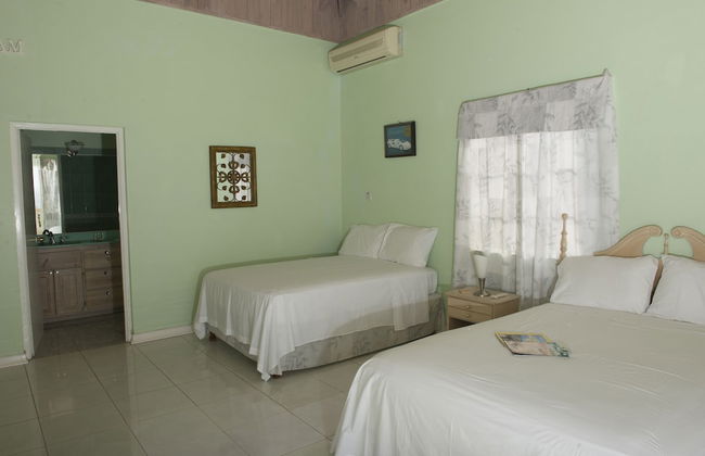 Celebrity Villa Jamaica - Photo 28