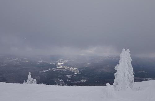 Ferienwohnung 32 im Ferienland Sonnenwald - Bayerischer Wald - Foto 29