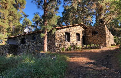 Monte frio de Tenerife - Foto 9