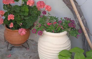 To limanaki - Foto 40