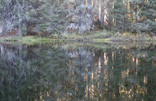 Ferienwohnungen Ludwigsthal - Foto 29