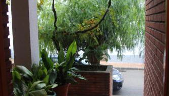 Casa Pinos - Foto 2, Garden view