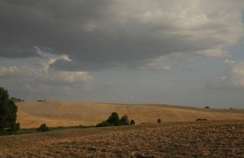Große Ferienwohnung in Peetzig am See - Foto 77