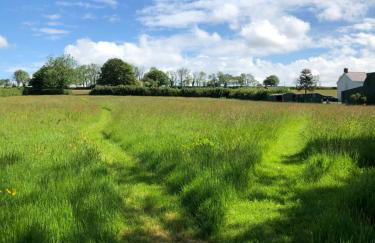 Swallows Return - Foto 30