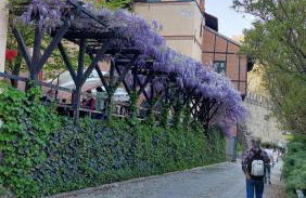 LUCRECE Holiday apartment - Foto 56