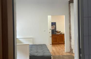 Apartment an der Stadtmauer Sankt Wendel - Photo 4