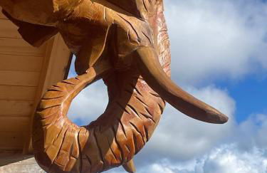 Chalet l'éléphant - Foto 32