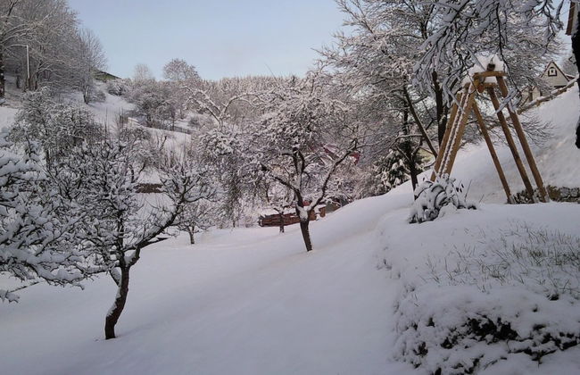 Quaint Farmhouse in Langenbach near Lake - Photo 39