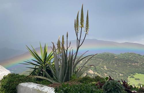 Alojamiento Armenia Piscina - Foto 39