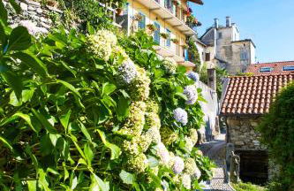 La Tranquillità - Foto 22