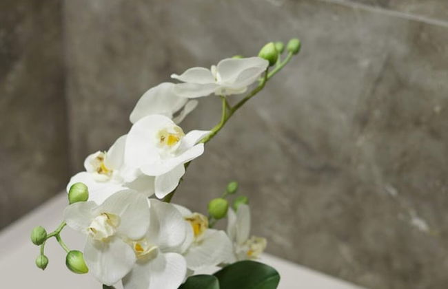 Metro Imielin 8th Floor Apartment - Photo 15