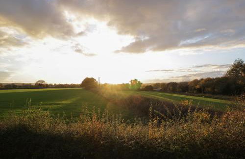 Upper Annex - Photo 13