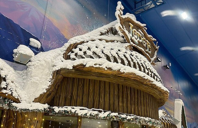Schnee-Abu Dhabi-Ticket - Foto 15