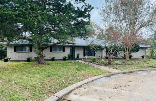 1960's time capsule, in Alvin,Texas - Foto 17