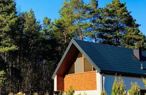 Palma de Masuria Ekskluzywny Dom na wyłączność - Foto 38