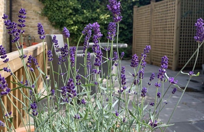 The Cottage, Lower St, West Chinnock - Foto 26