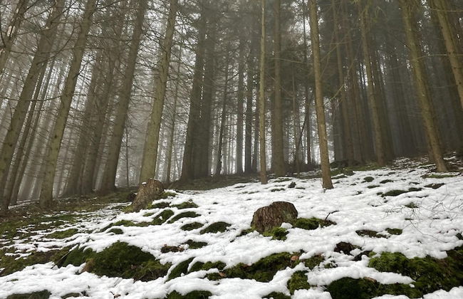 Beautiful 8 Bed Apartment in Hallenberg - Foto 14