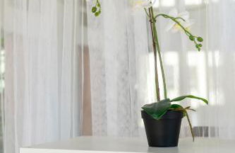 Espectacular loft en centrico edificio singular - Photo 11