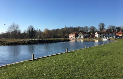 The Paddocks - Foto 22