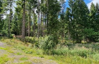 Ellen-Lara - Foto 32