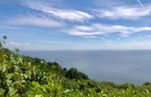 Apple Tree House - Foto 57