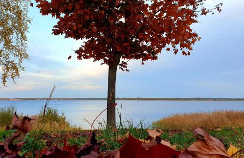 Ferienwohnung Goitzschezeit - Foto 20